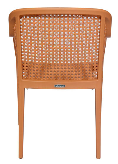 Ditegra 7028  - Precio paq. 3 pzs - Image 2